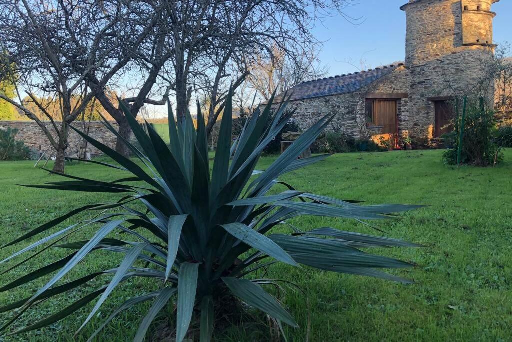 Apartamento Turistico Con Precioso Jardin - Los Gayoles Rural Castropol Exterior photo